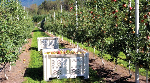 Healthy Food Starts with Healthy Soil Sustained by Organic Farmlands