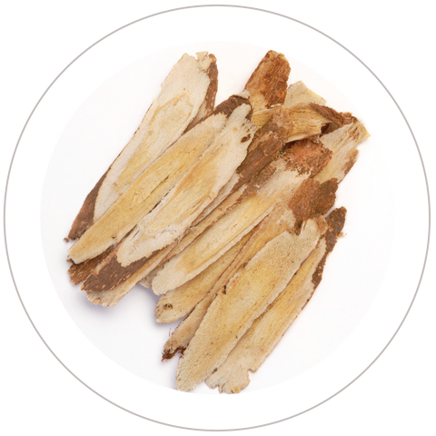 Astragalus