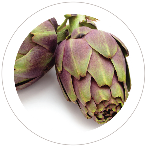 Artichoke