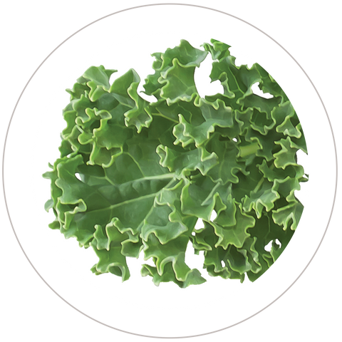 Kale