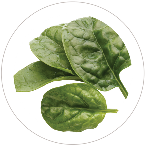 Spinach