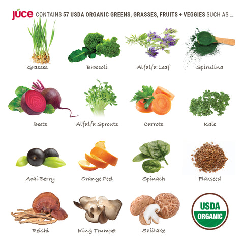 Júce Raw Greens Organic Superfood (30 servings)