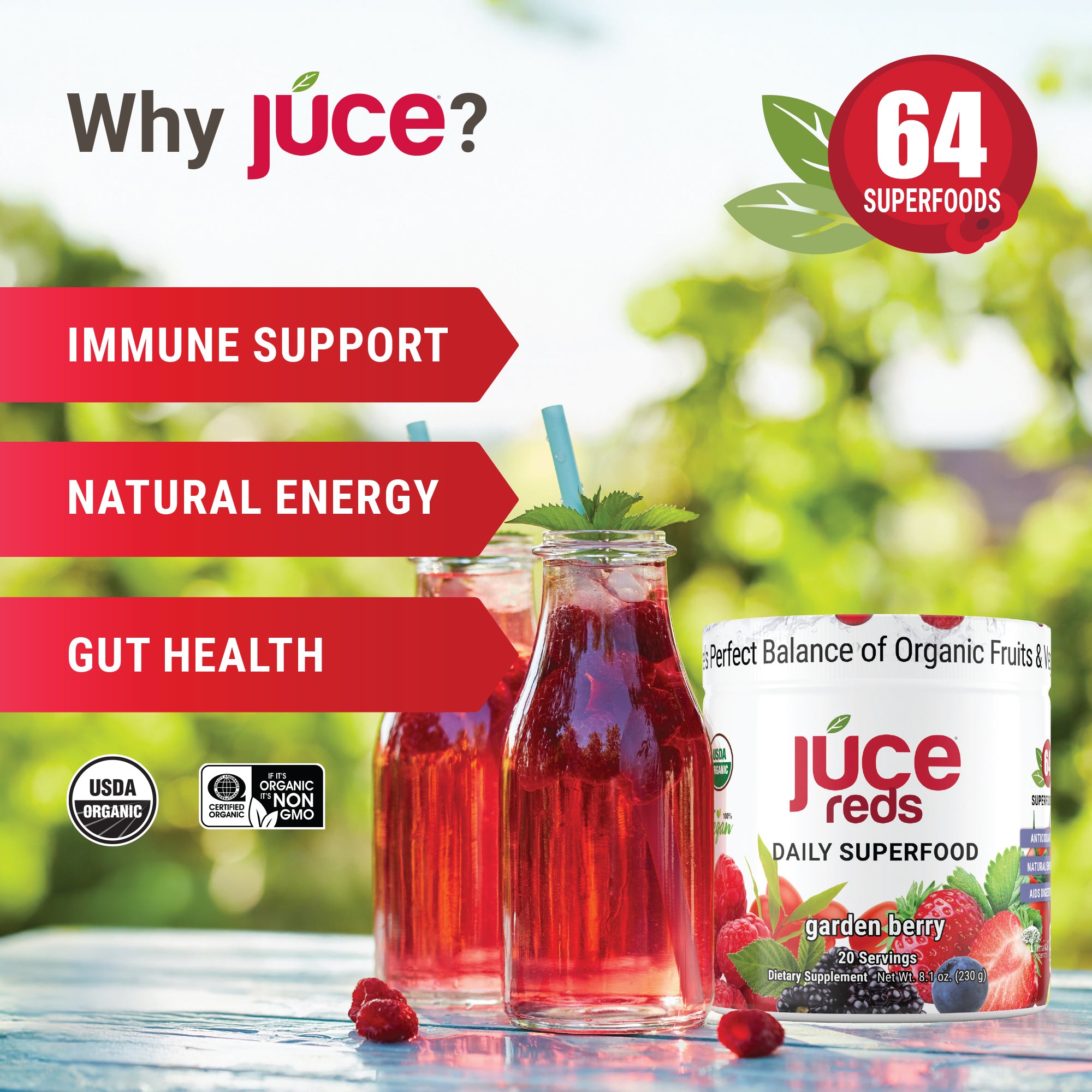 紅ゆずる「Berry Berry BENNY！！」紅5DVD Júce Reds Organic Daily Superfood – Júce Organics