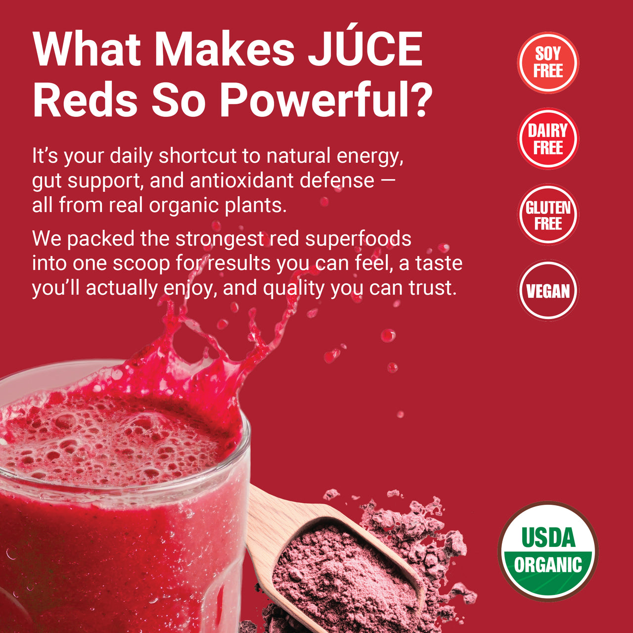 Júce Reds Organic Daily Superfood – Júce Organics