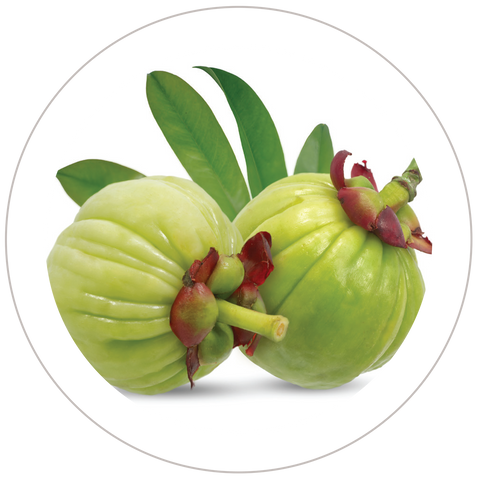 Garcinia Cambogia