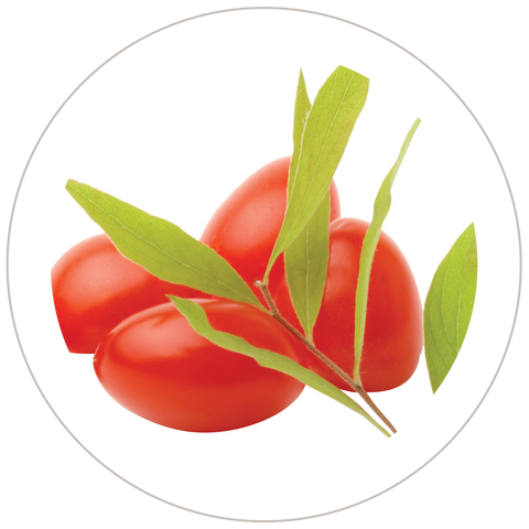 Goji Berry