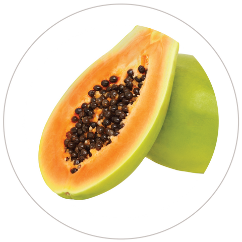 Papaya