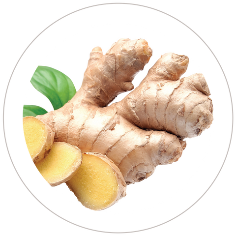 Ginger Root