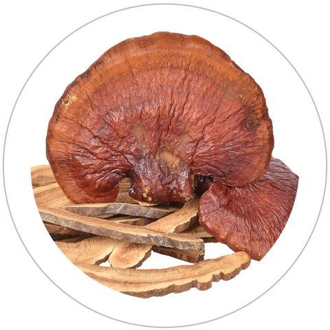 Reishi