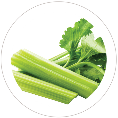 Celery