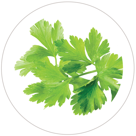 Parsley