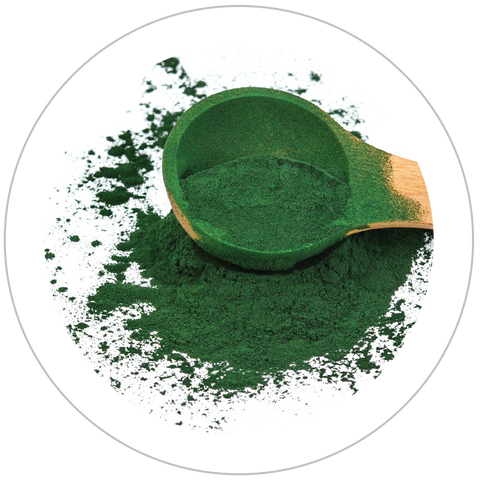 Spirulina